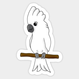 Umbrella Cockatoo Sticker